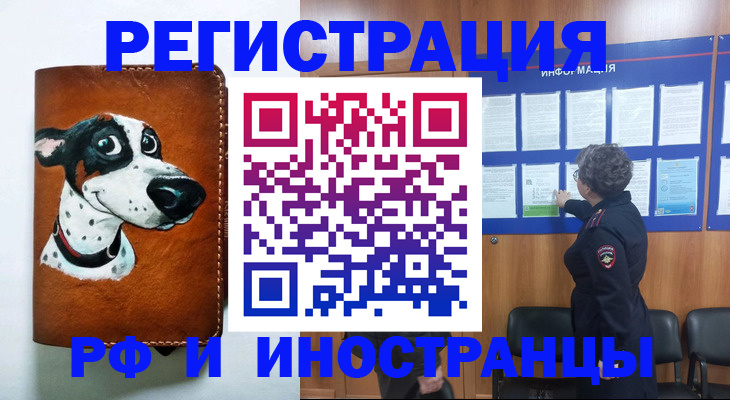 временная регистрация законно в Тереке